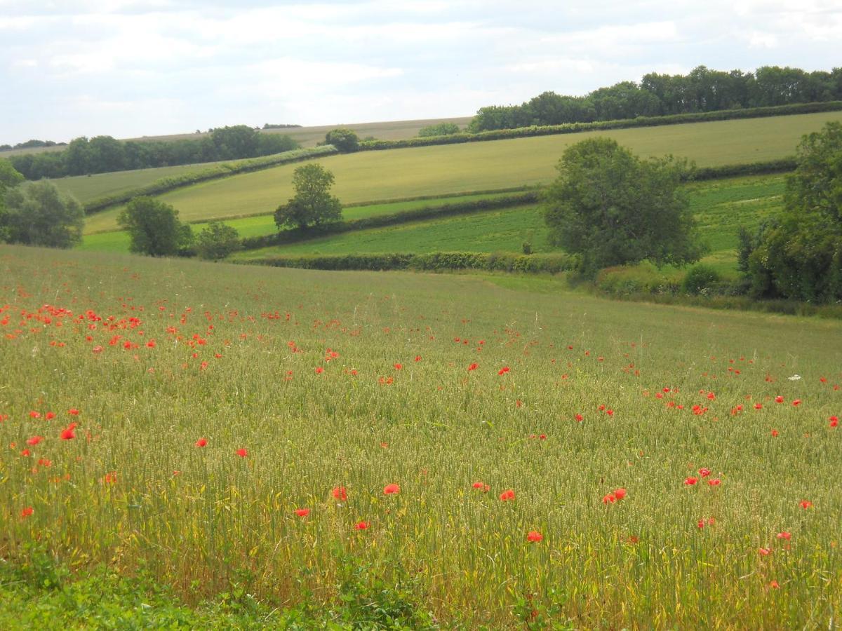 Far Hill Cottage Wyck Rissington ภายนอก รูปภาพ